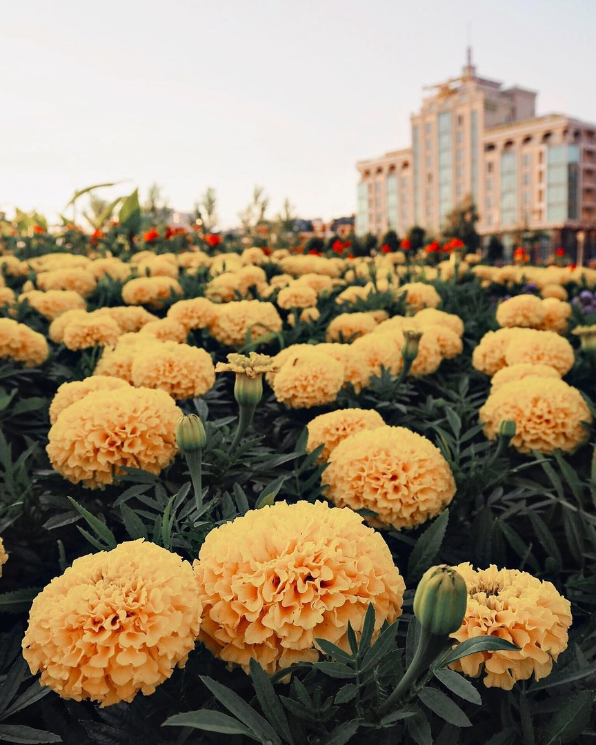 Атмосфера родной Казани - 5