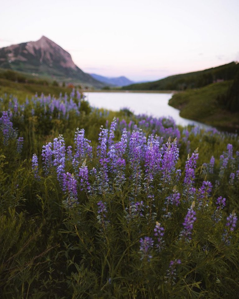 Когда тяжело, помни, что лучшие дни ещё впереди. - 8