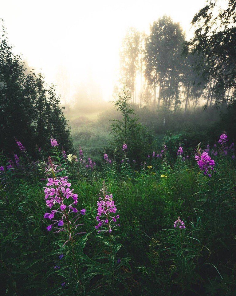 «Не надо забывать, какое большое значение имеют в жизни мелочи» 

Эрих Мария Ремарк - 6