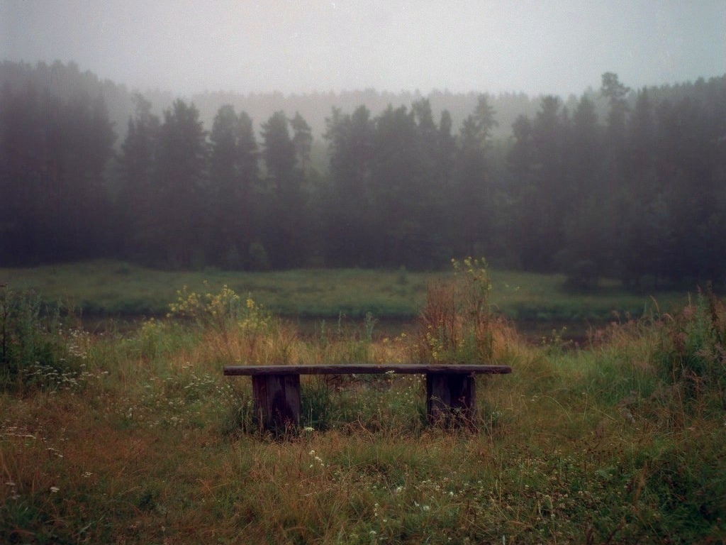 Только став взрослым, понимаешь, что готов променять все дорогие курорты мира на пару недель у бабушки в деревне... - 4