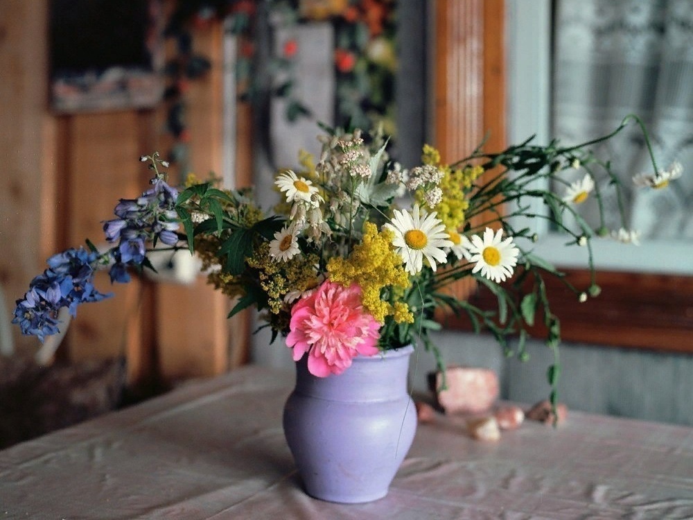 Только став взрослым, понимаешь, что готов променять все дорогие курорты мира на пару недель у бабушки в деревне... - 1