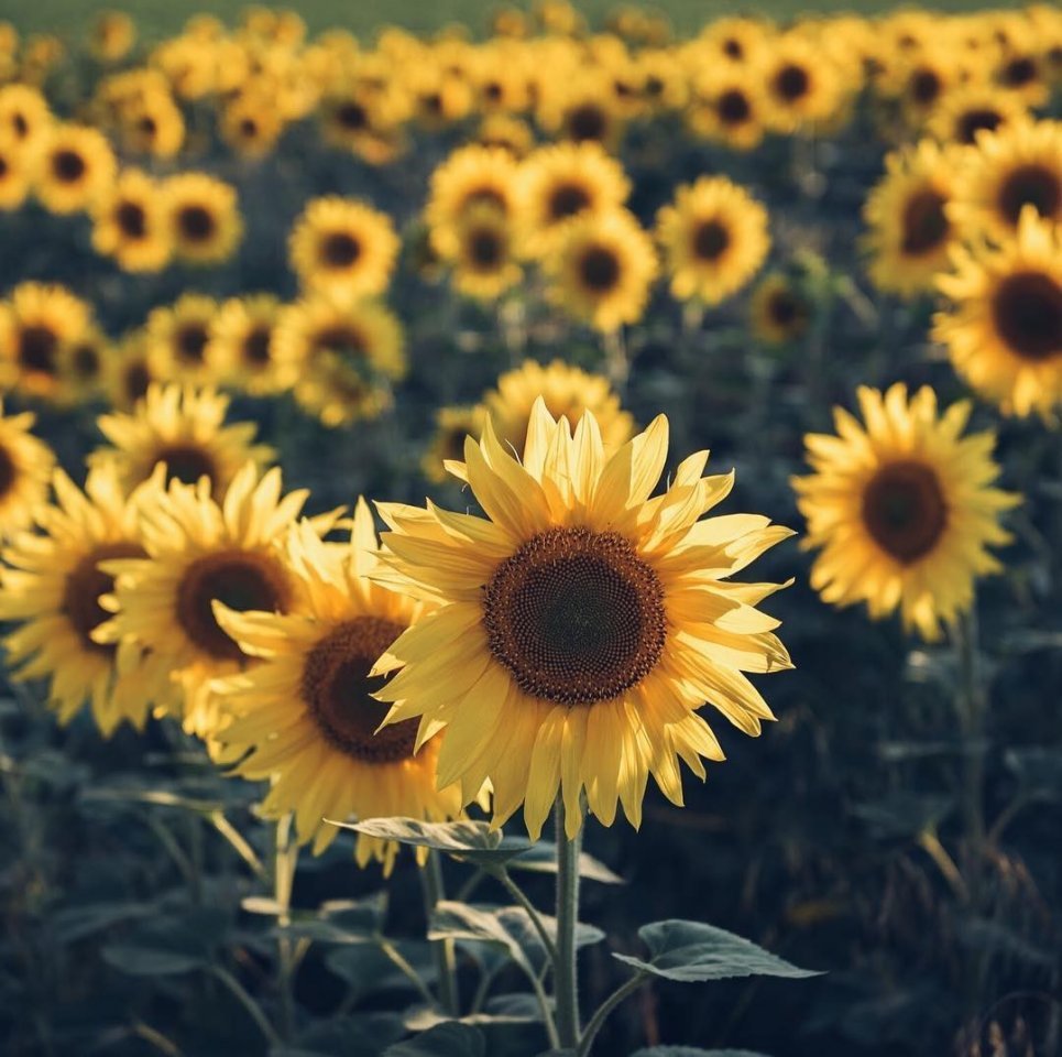 Прекрасные родные просторы - 6