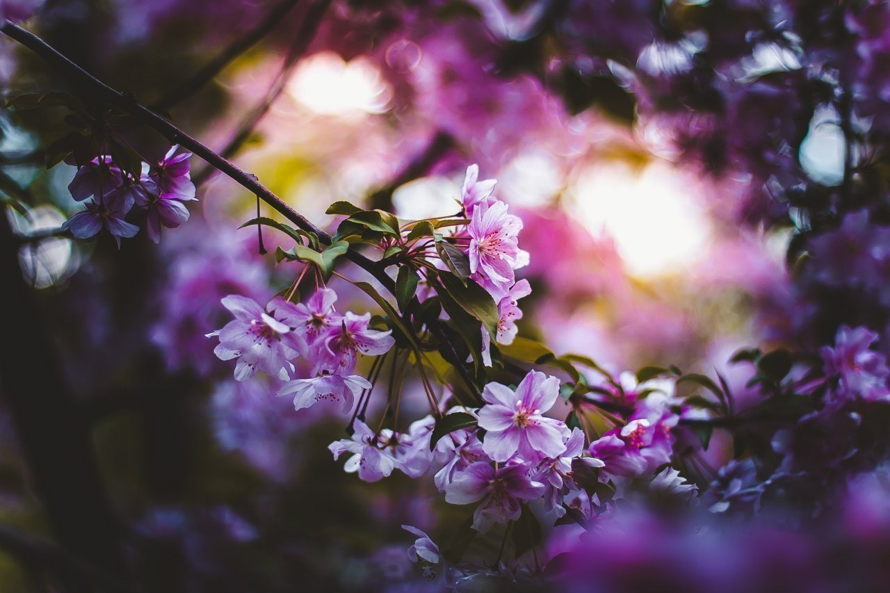 А за чтo вы любите летo? ☀ - 5