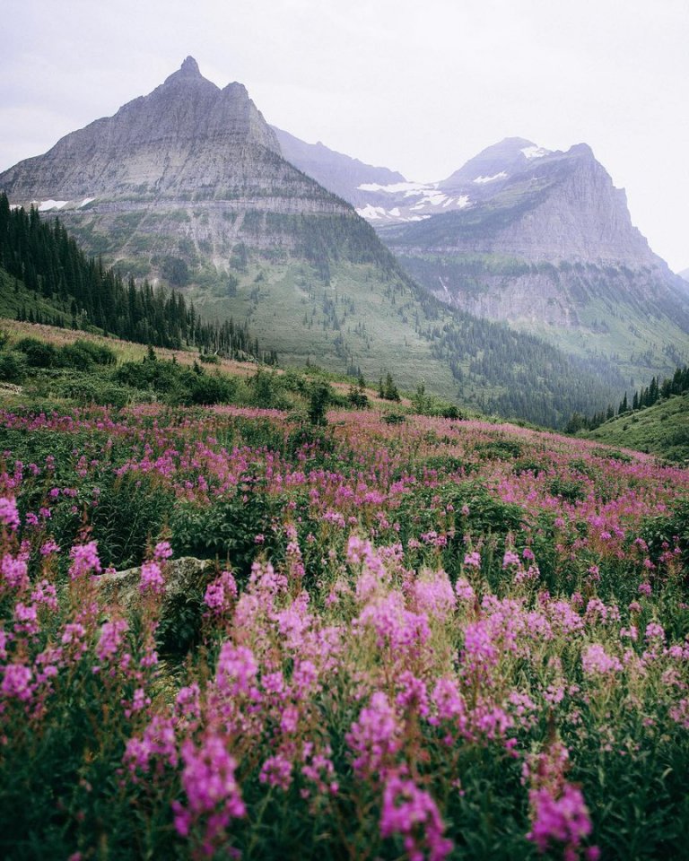 Когда тяжело, помни, что лучшие дни ещё впереди. - 5