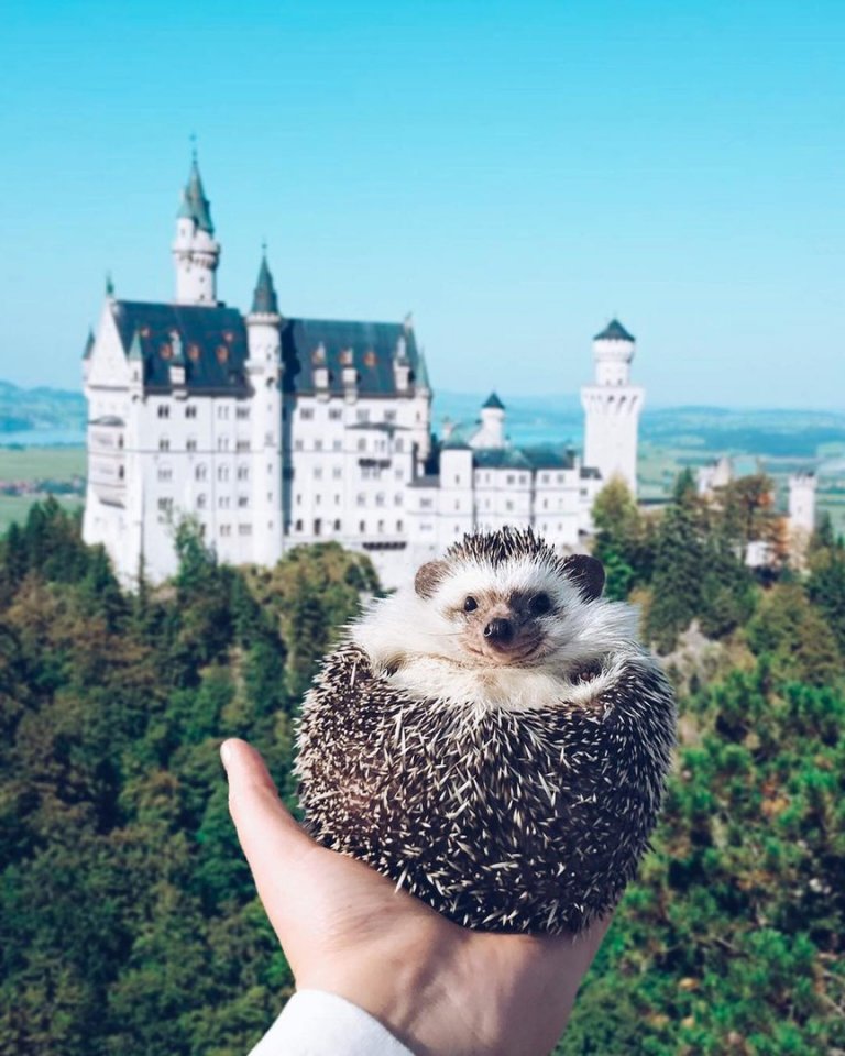 Если у вас упало настроение - поднимите и больше не роняйте! - 5