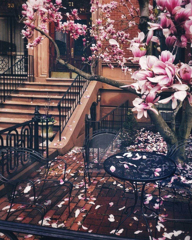 Неповторимая атмосфера Бостона - 7