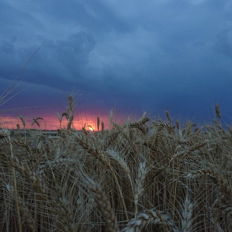 Прекрасные родные просторы
