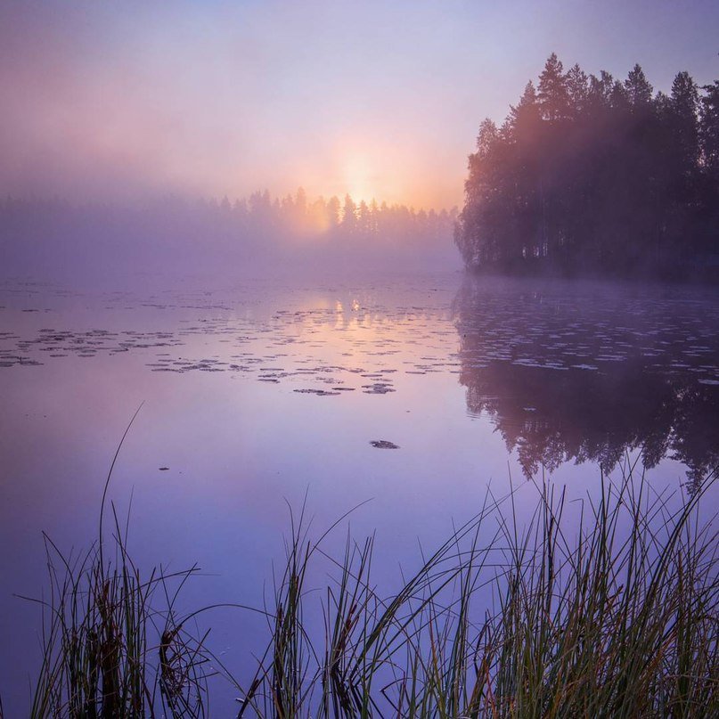 Сердцу отчаянно не хватает немного финской тишины - 7