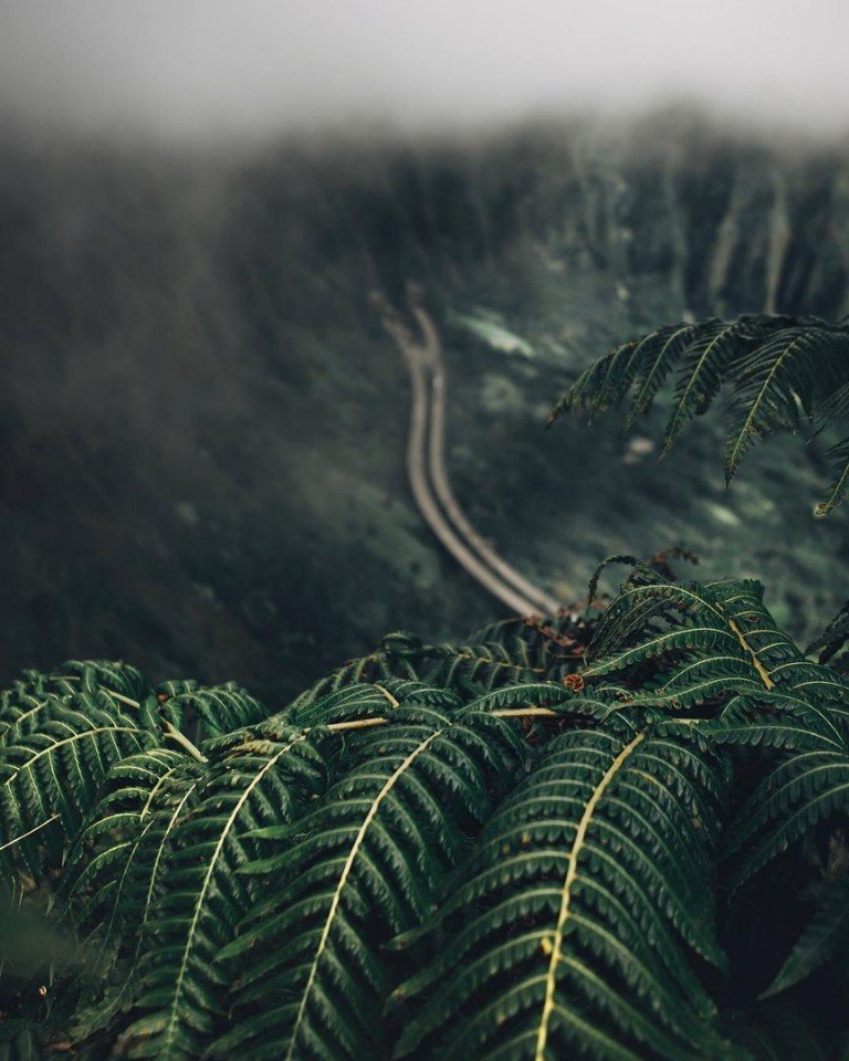 Гавайи – это кусочек волшебных воспоминаний