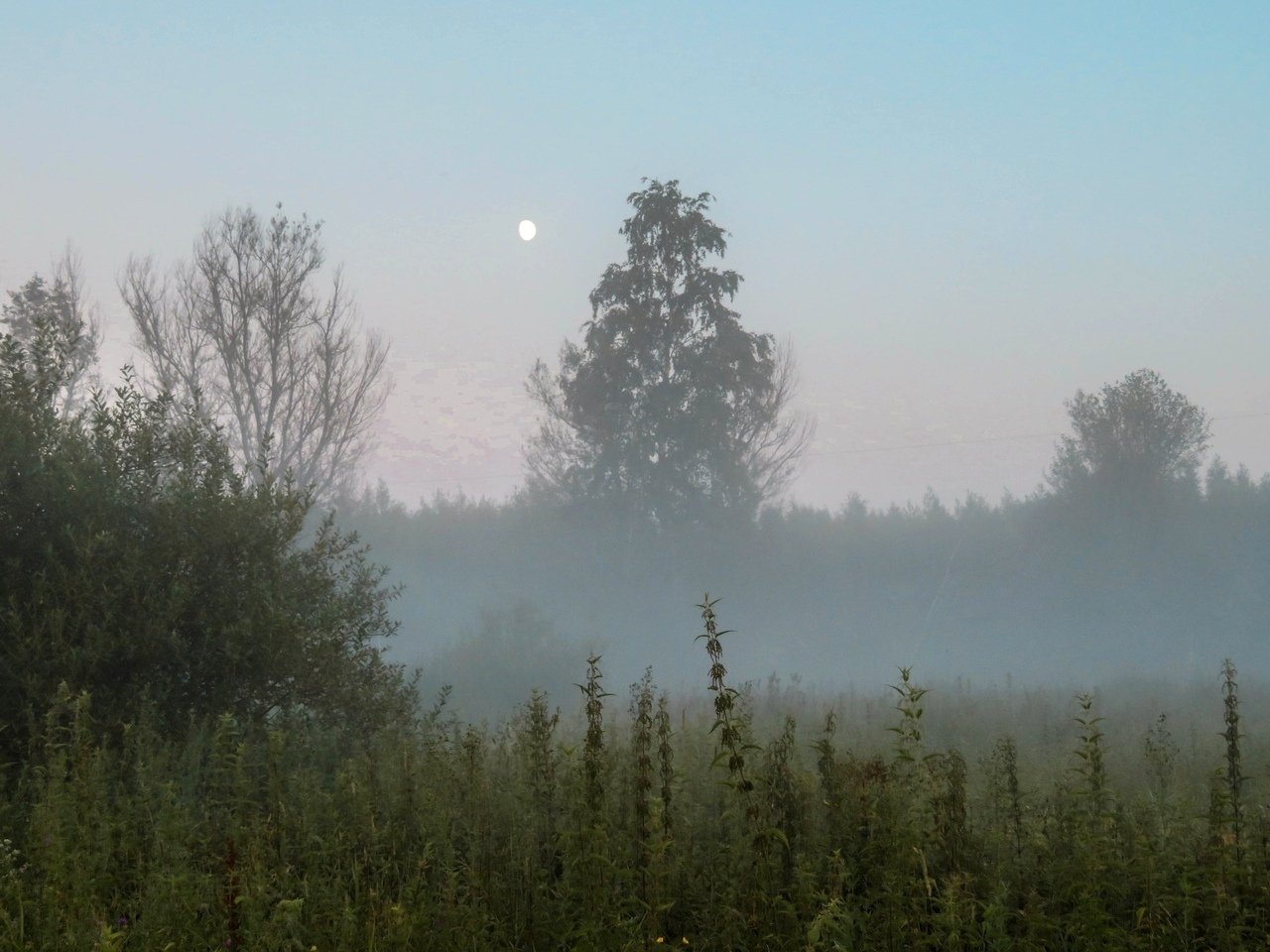 Туманная тишина Тверской области, Россия