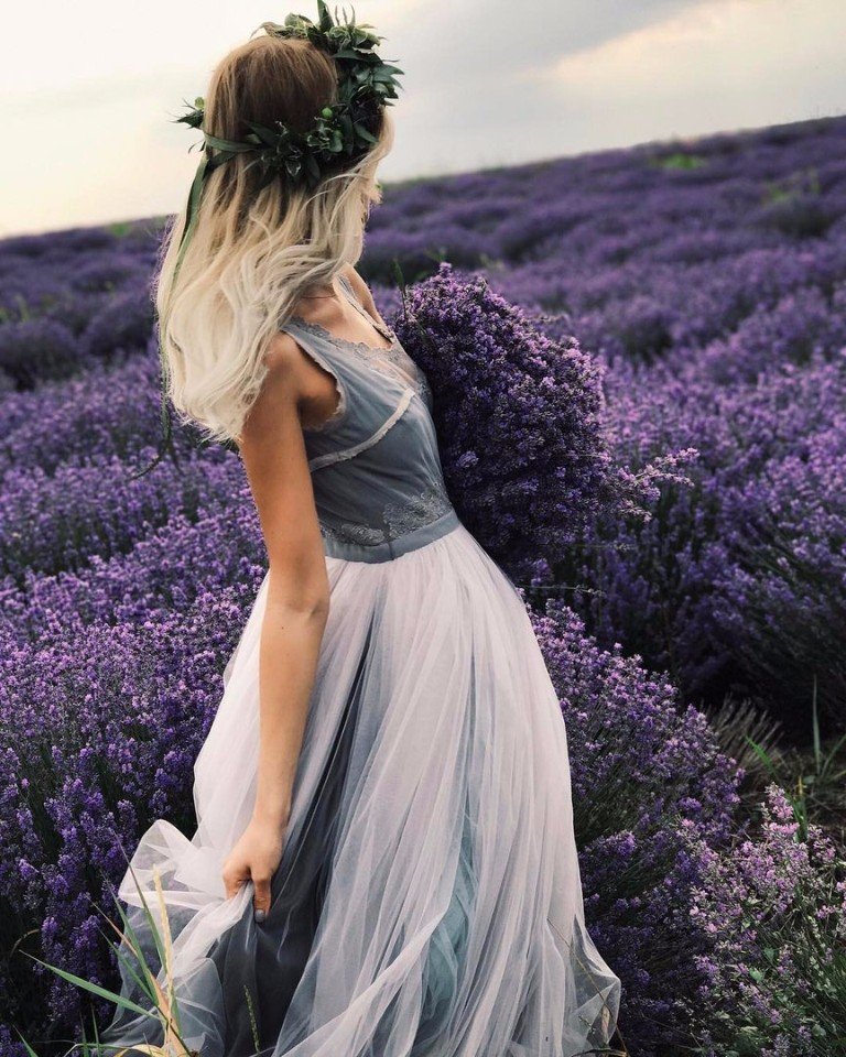 Лавандовые поля Молдавии - 5