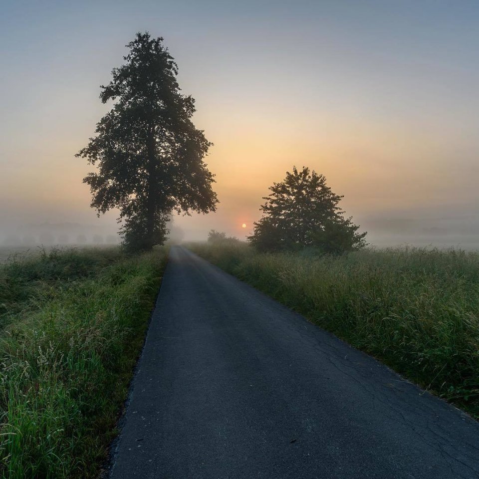 Каждый новый день - это чистый лист, который вы можете заполнять самыми прекрасными рисунками. - 5