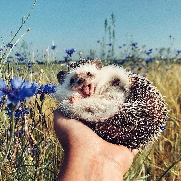 Мир принадлежит тому, кто ему рад. - 5