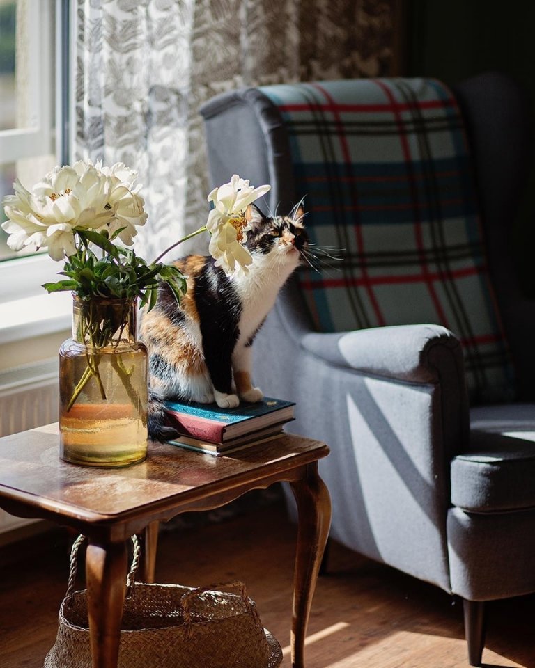 Дело не в том, чтобы в жизни было больше дней, а в том, чтобы в днях было больше жизни. - 8