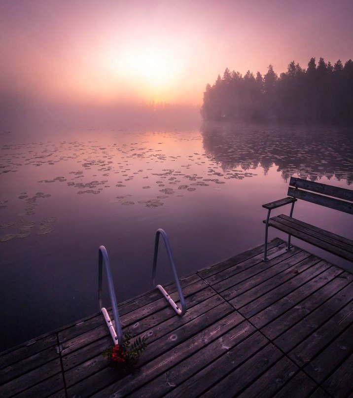 Сердцу отчаянно не хватает немного финской тишины - 6