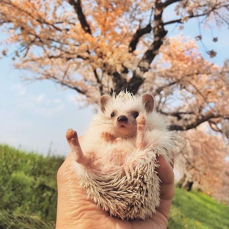 Мир принадлежит тому, кто ему рад. - 7