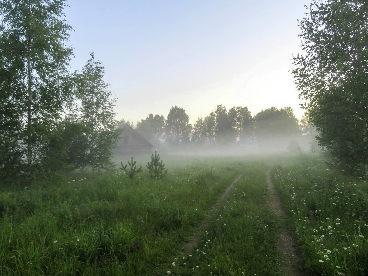 Туманная тишина Тверской области, Россия - 8