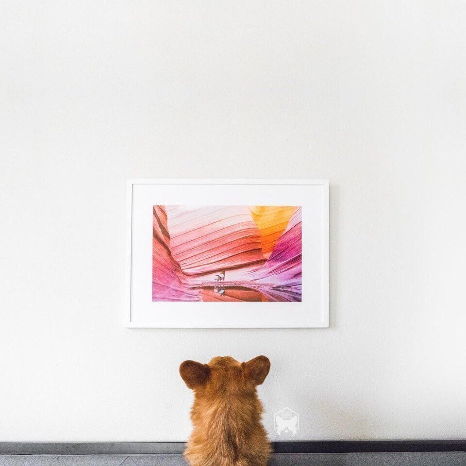 Мир принадлежит тому, кто ему рад! - 2