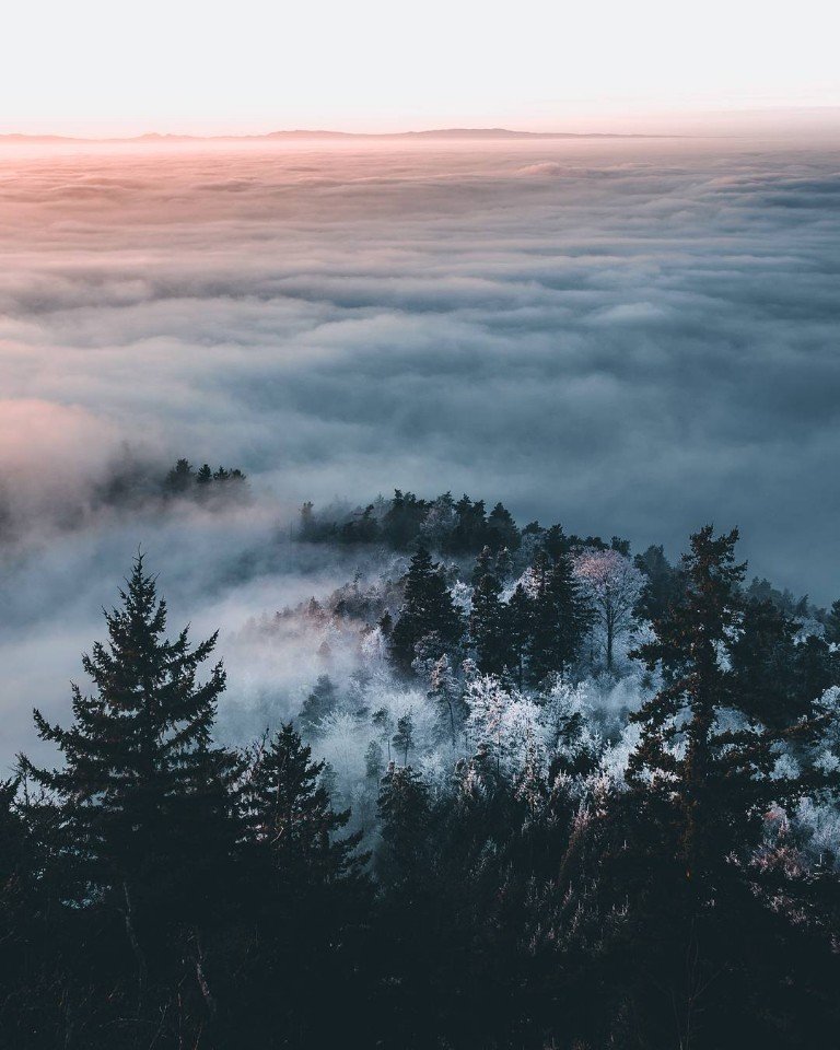 Туманное очарование скандинавских просторов 