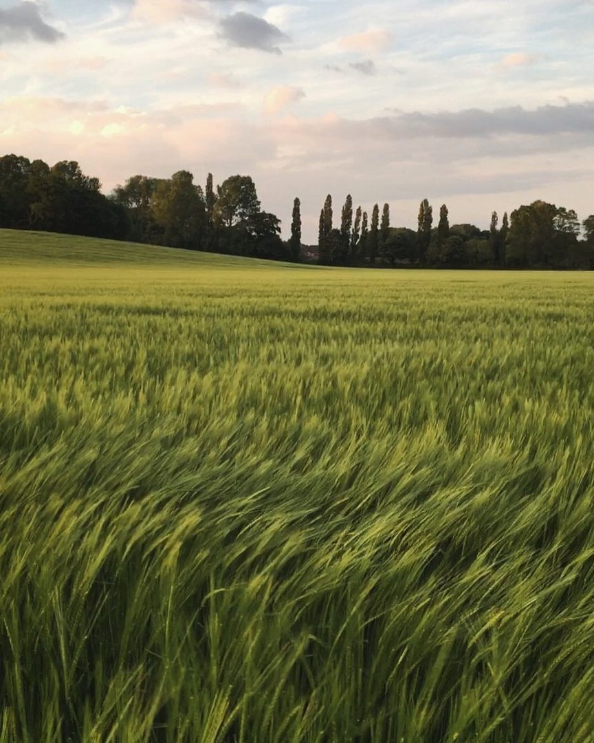 Всё будет хорошо, потому что плохо уже надоело. - 5