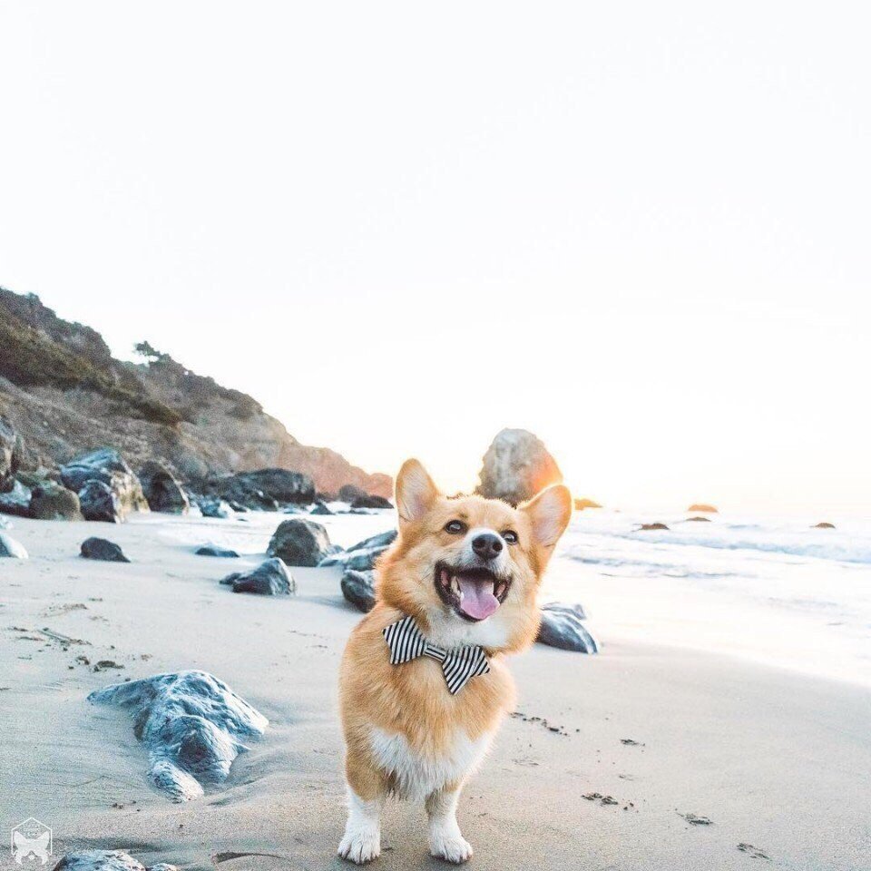 Мир принадлежит тому, кто ему рад!