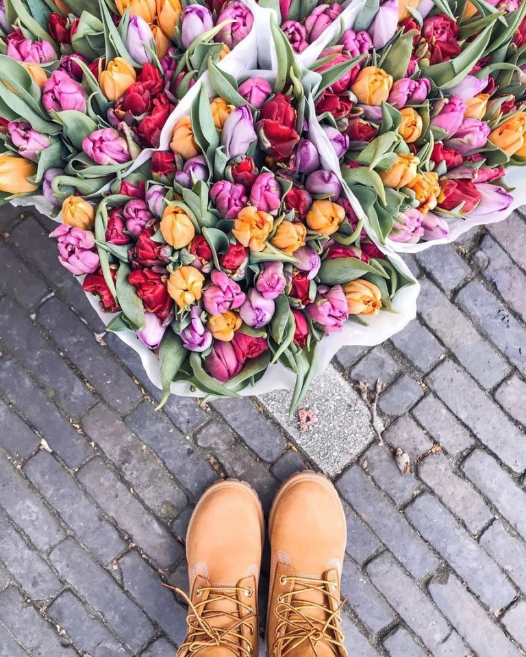 Не хватает слов, чтобы описать всё великолепие Нидерландов  - 9