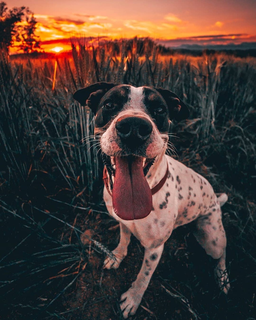 Счастливый хороший мальчик