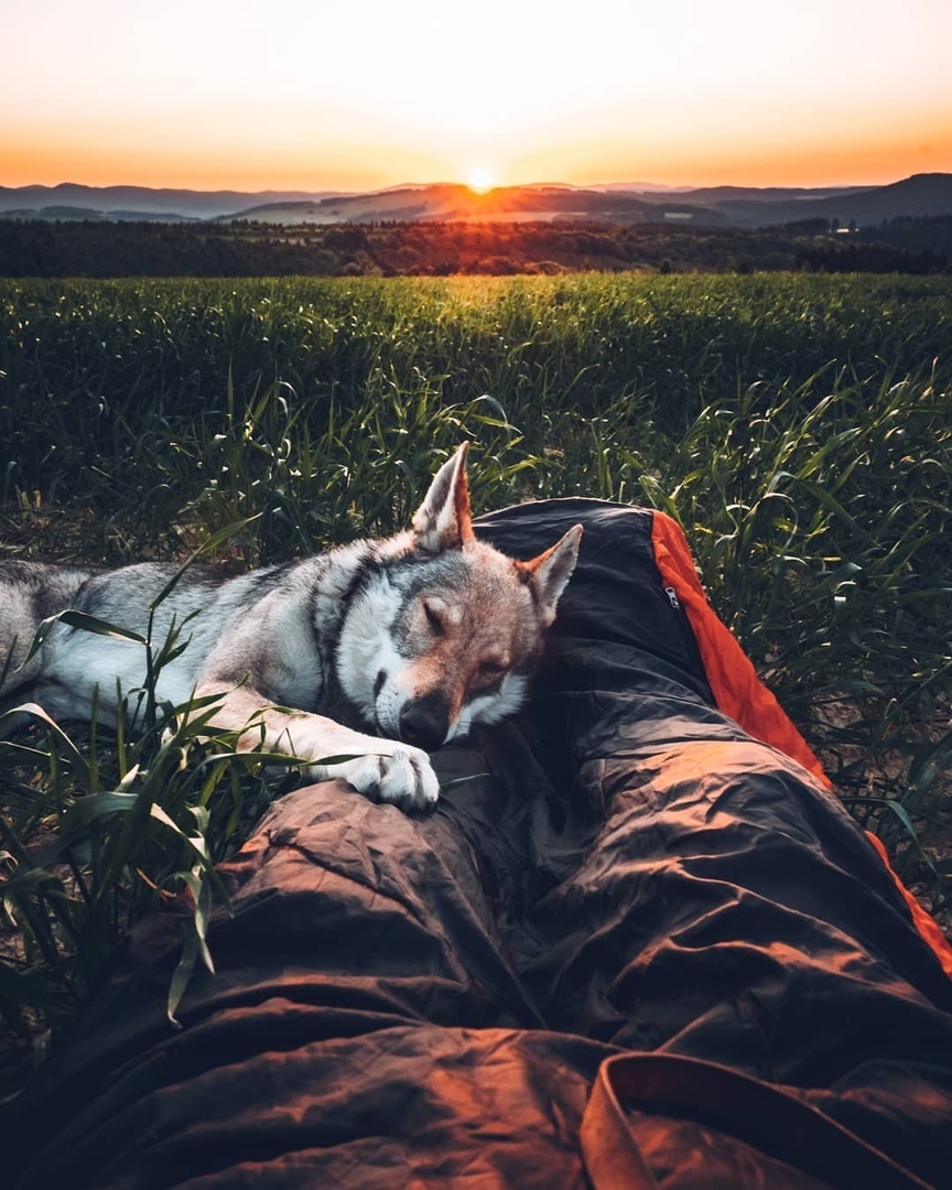 Это хорошо, когда у тебя есть с кем разделить свои мечты.  - 7