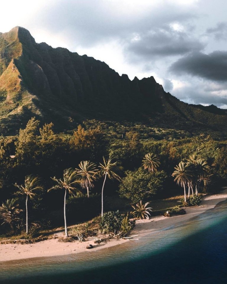 Сейчас бы бросить все и отправиться ловить волну на Гавайи...