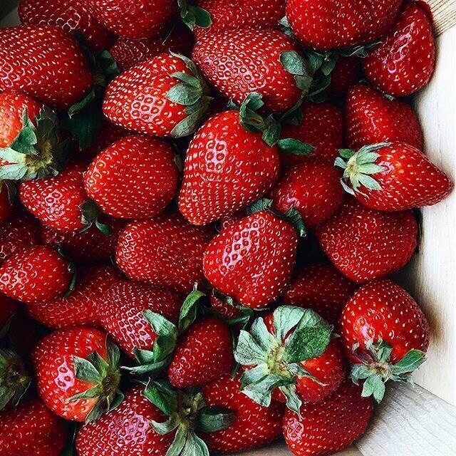 Вкусные дары лета - 7