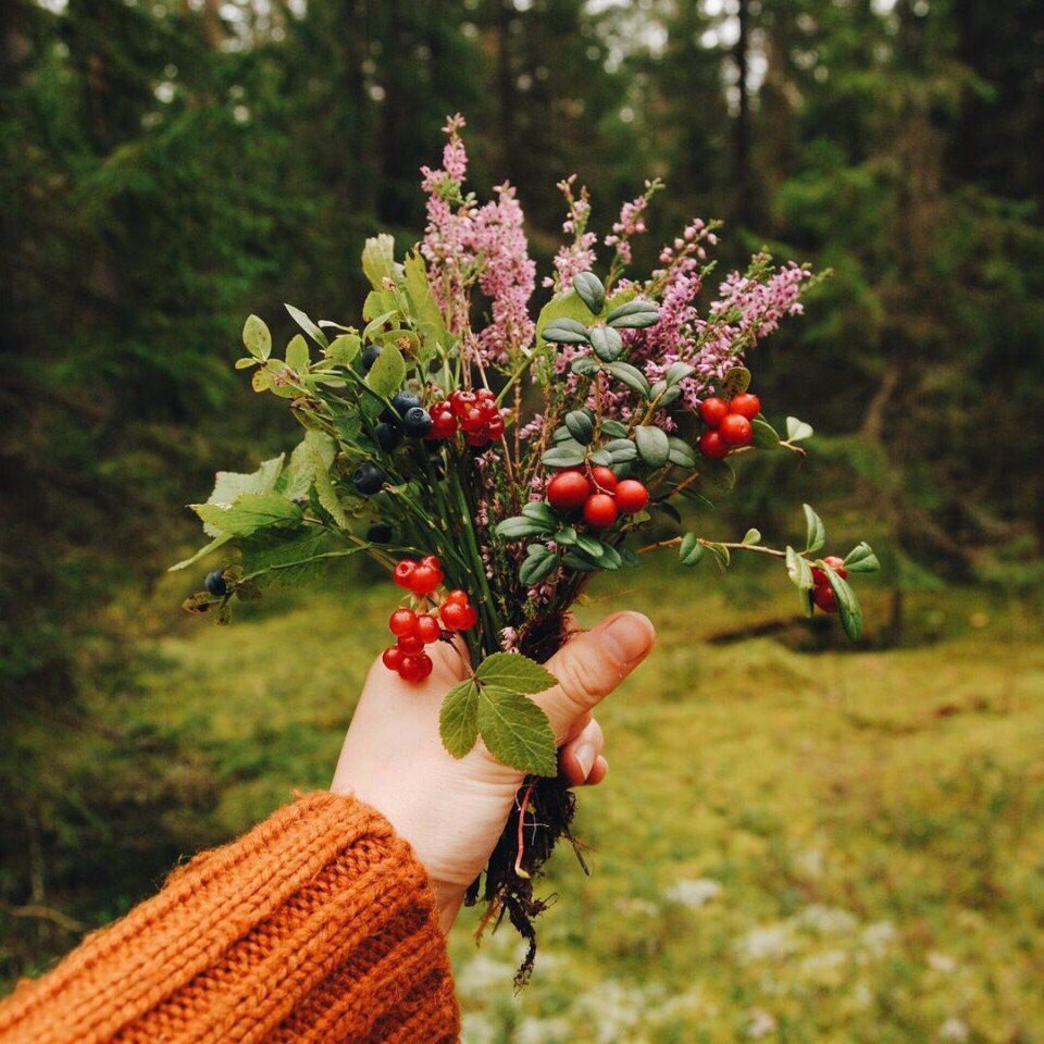 У каждого есть такие места, забыть о которых невозможно, хотя бы потому, что там воздух помнит твоё счастливое дыхание...