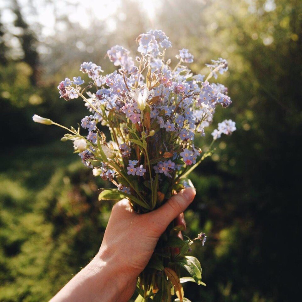 У каждого есть такие места, забыть о которых невозможно, хотя бы потому, что там воздух помнит твоё счастливое дыхание... - 5