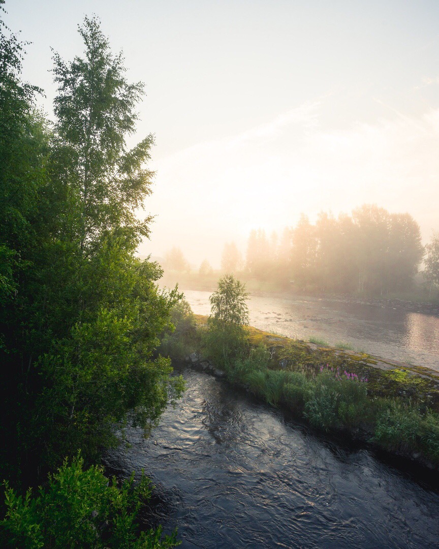 Лучше любых психологов. - 5