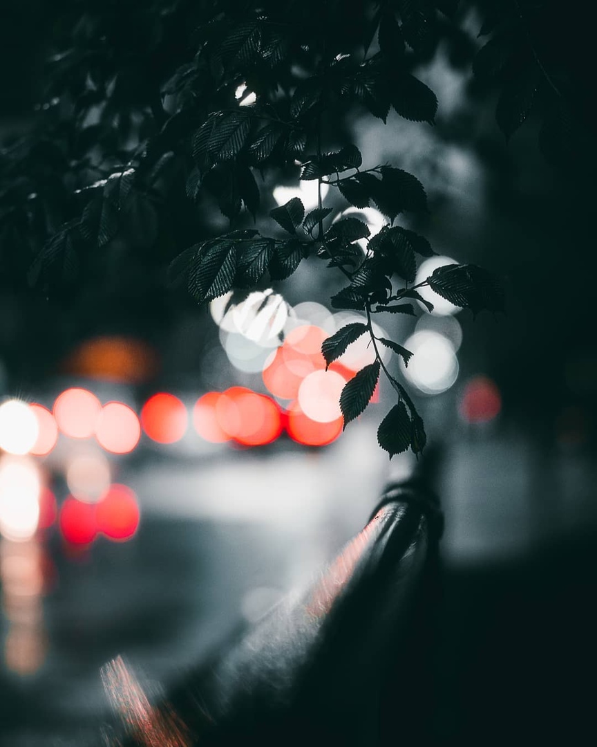 Торонто, Канада