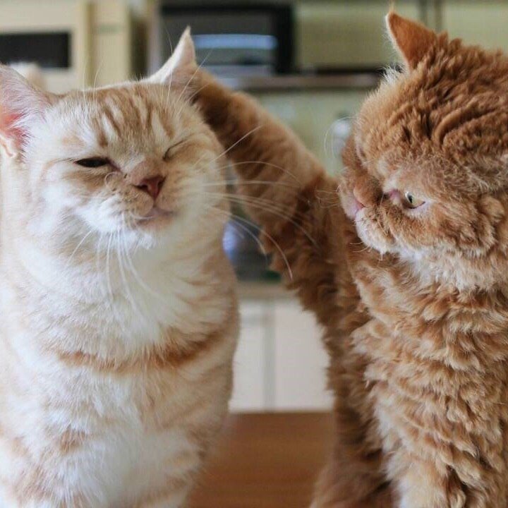 Когда любовь - 5