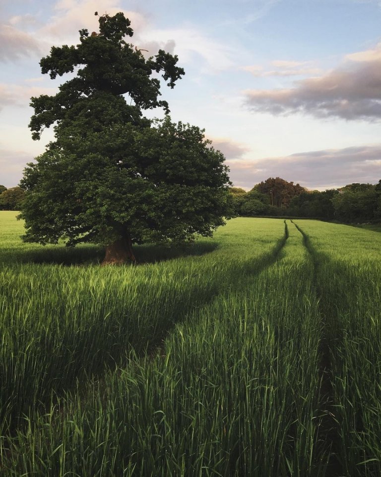 У нас одна обязанность — быть счастливыми. - 6