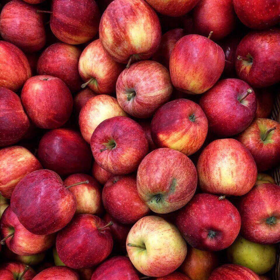 Вкусные дары лета