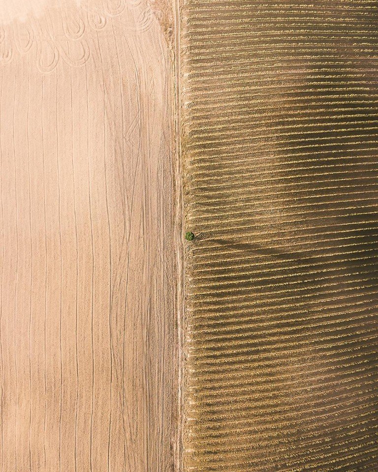 Красота и ничего лишнего, Италия