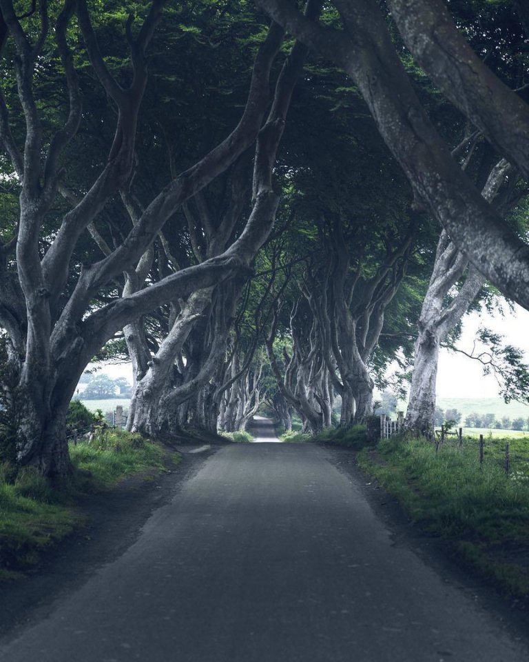 Суровая красота Ирландии