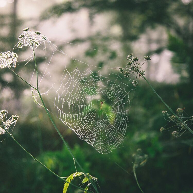 Иногда вовремя сделанные шаги меняют походку всей жизни.