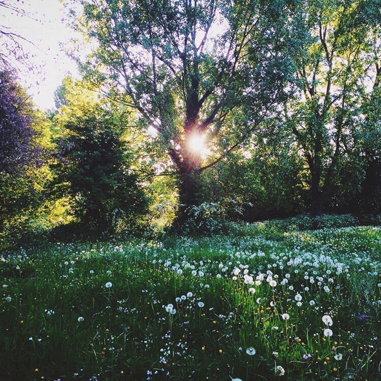 Радоваться жизни - самое правильное решение, которое надо принимать несколько раз в день. - 5