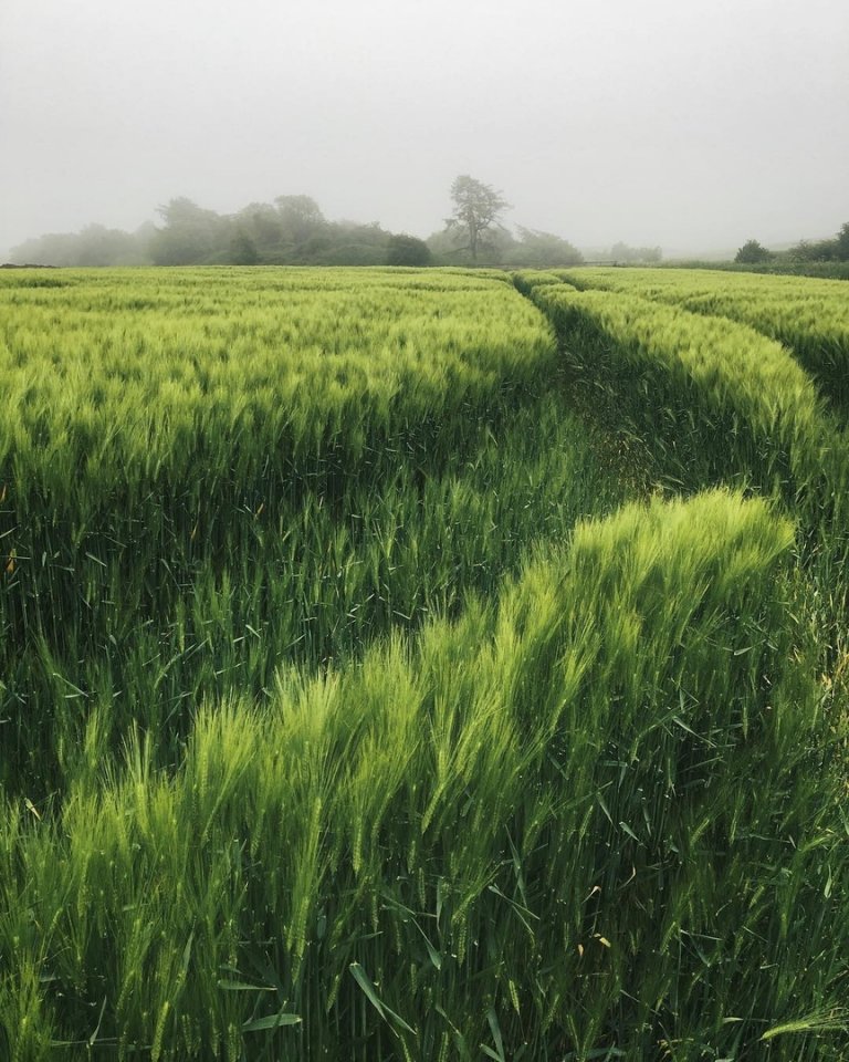 У нас одна обязанность — быть счастливыми. - 5