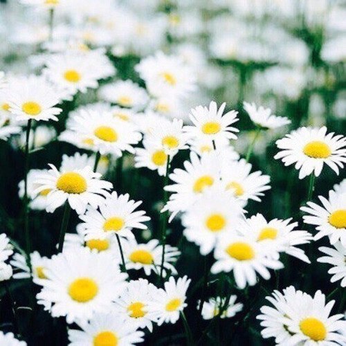 Когда тяжело, помни, что лучшие дни ещё впереди.