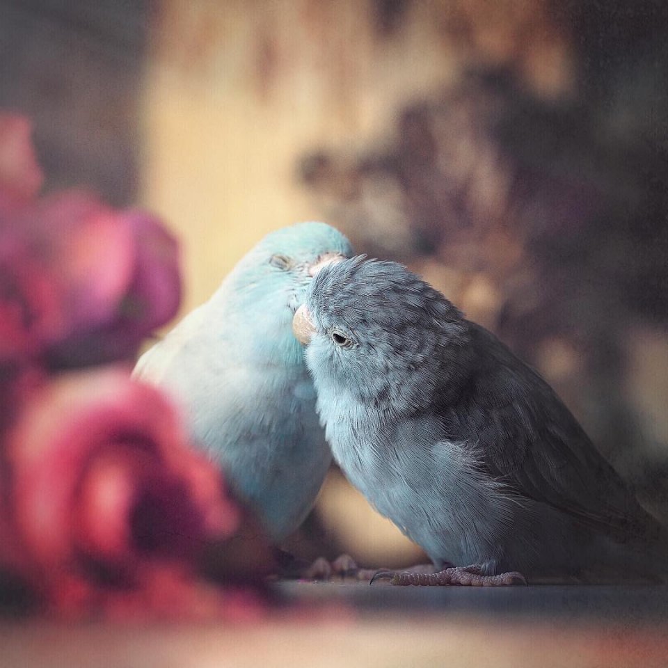 Любите – это красиво... - 9