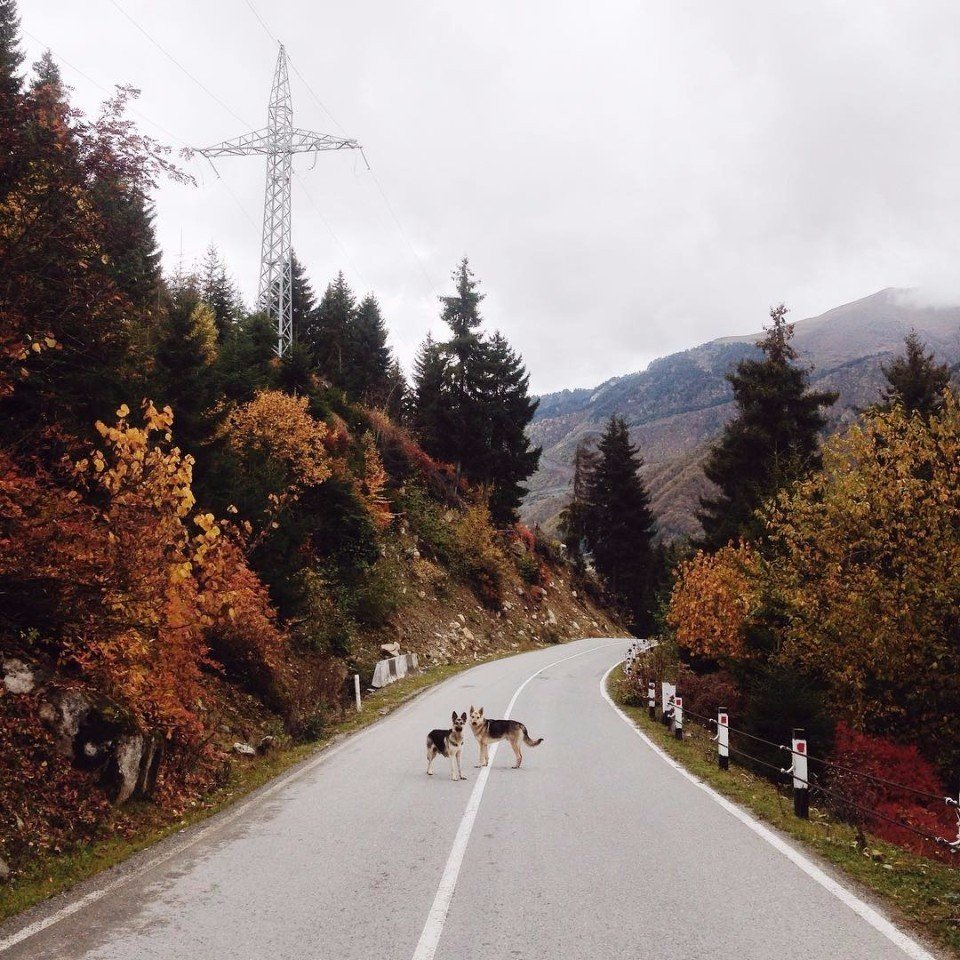 Умиротворенная природа Грузии 