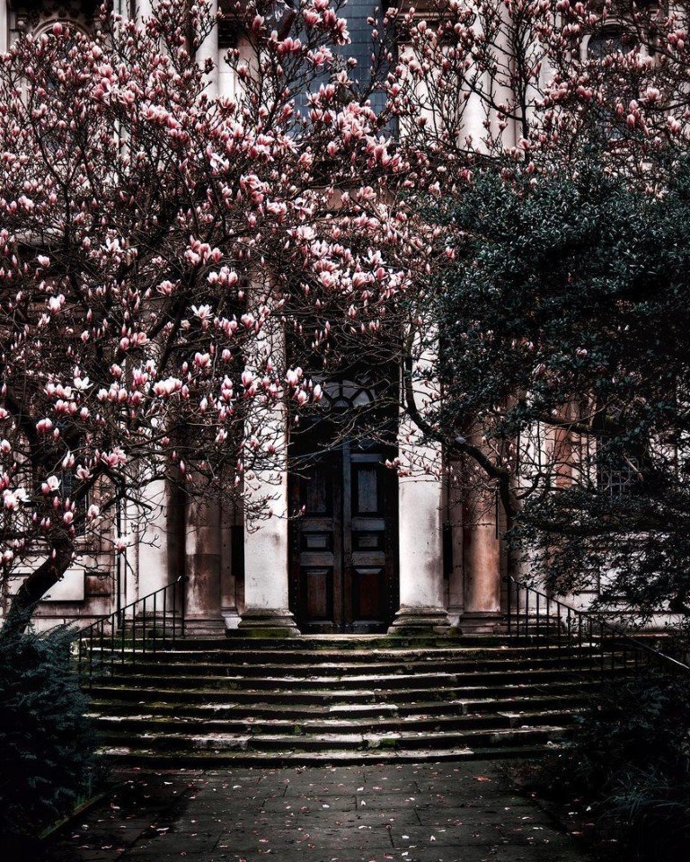 Цветущие улочки Лондона - 5