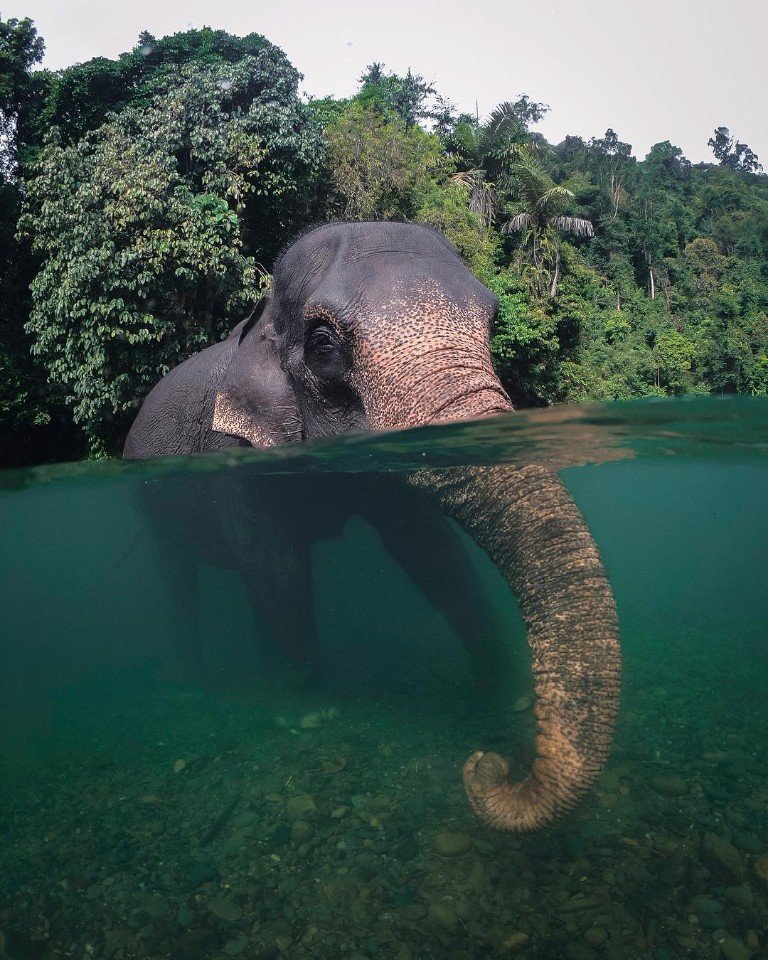 Чарующая красота Индонезии - 6