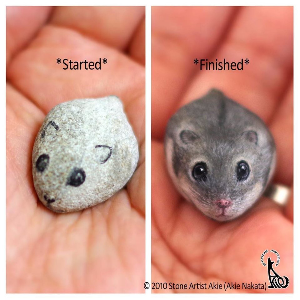 Японская художница создает из обычных камешков настоящие произведения искусства  - 8