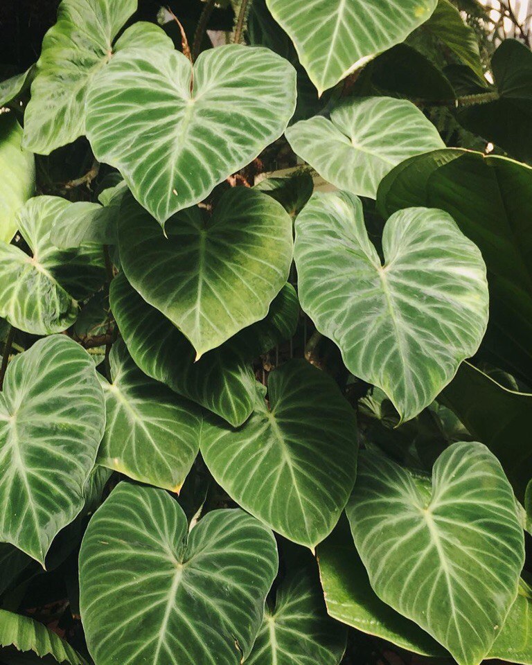 Немного свежести вам в ленту - 5