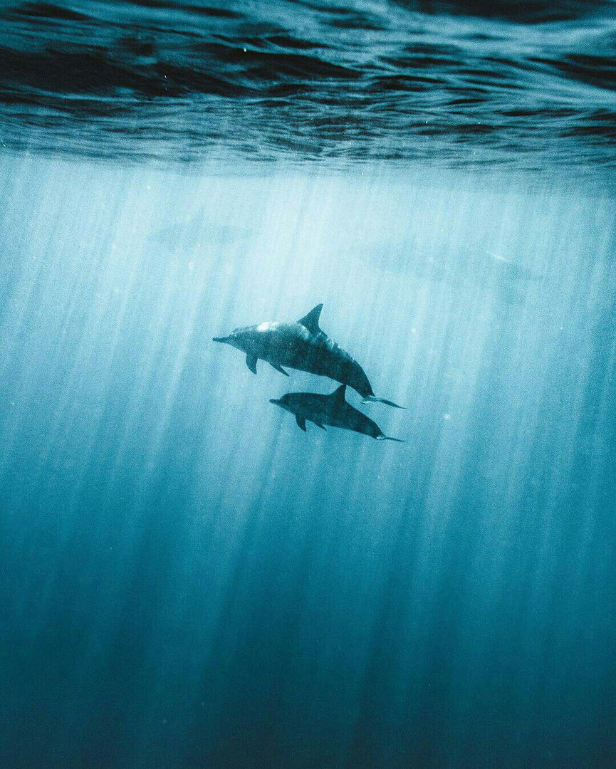 — И что мы будем делать? 
— Наслаждаться... моментом. - 5